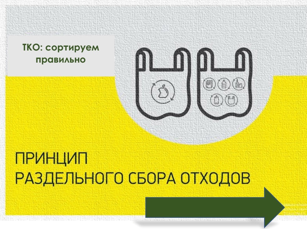 Сортируй мусор – спаси планету!.