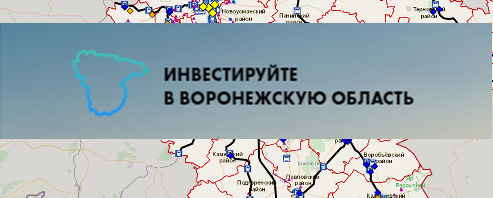 Инвестиционный портал Воронежской области.