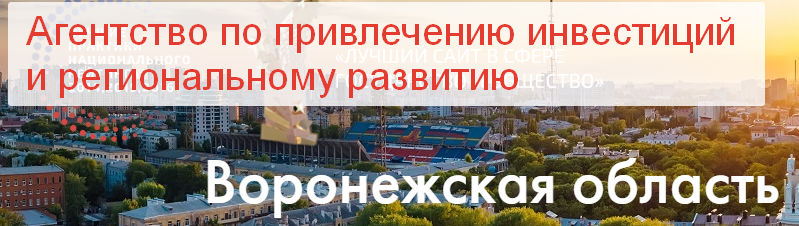ГКУ ВО «Агентство по привлечению инвестиций и региональному развитию».