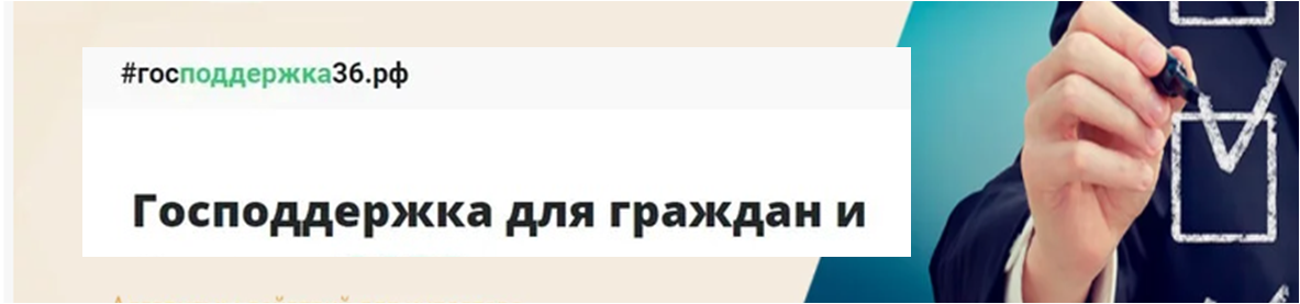 Сервис Господдержка36.