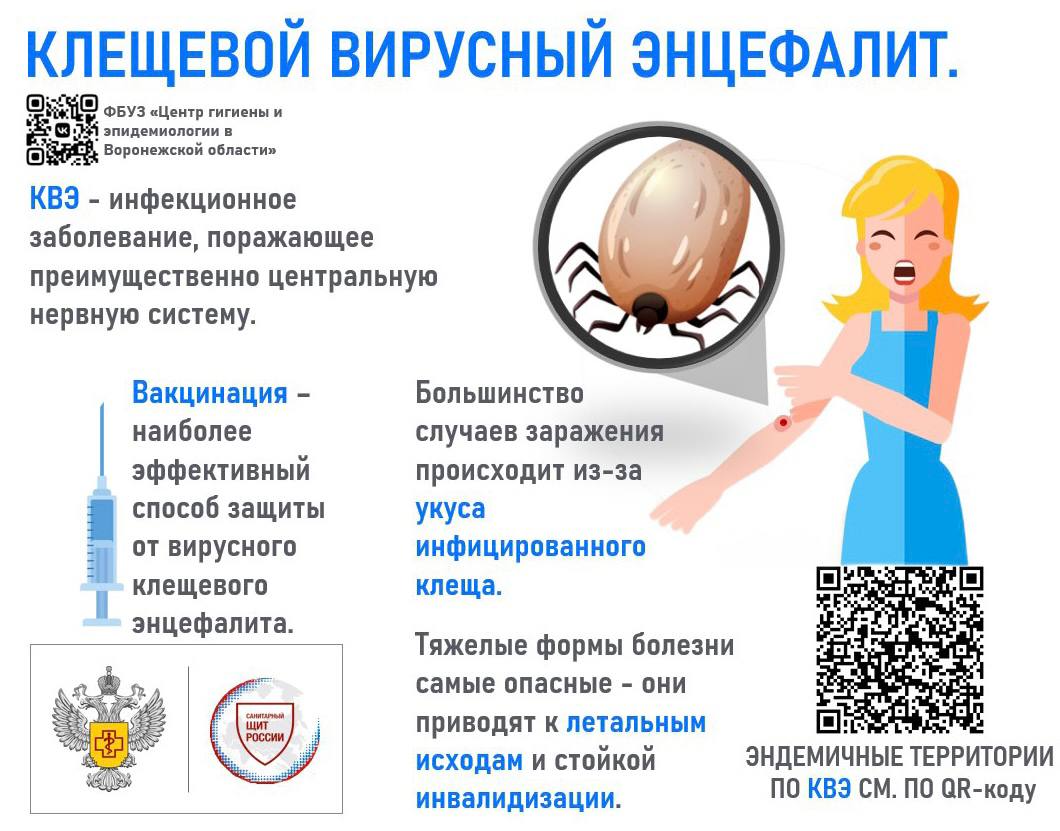 Осторожно - клещевой энцефалит!.