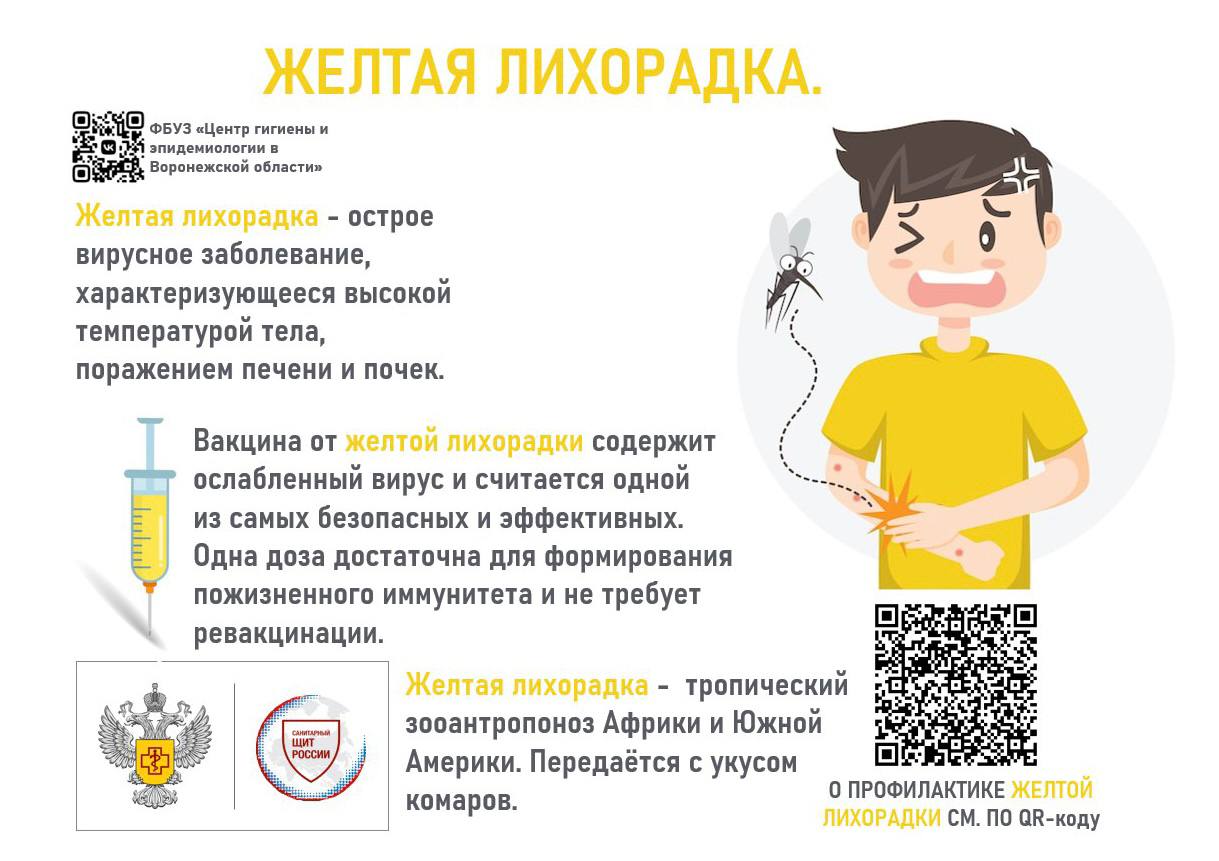 Опасная инфекция - желтая лихорадка!.