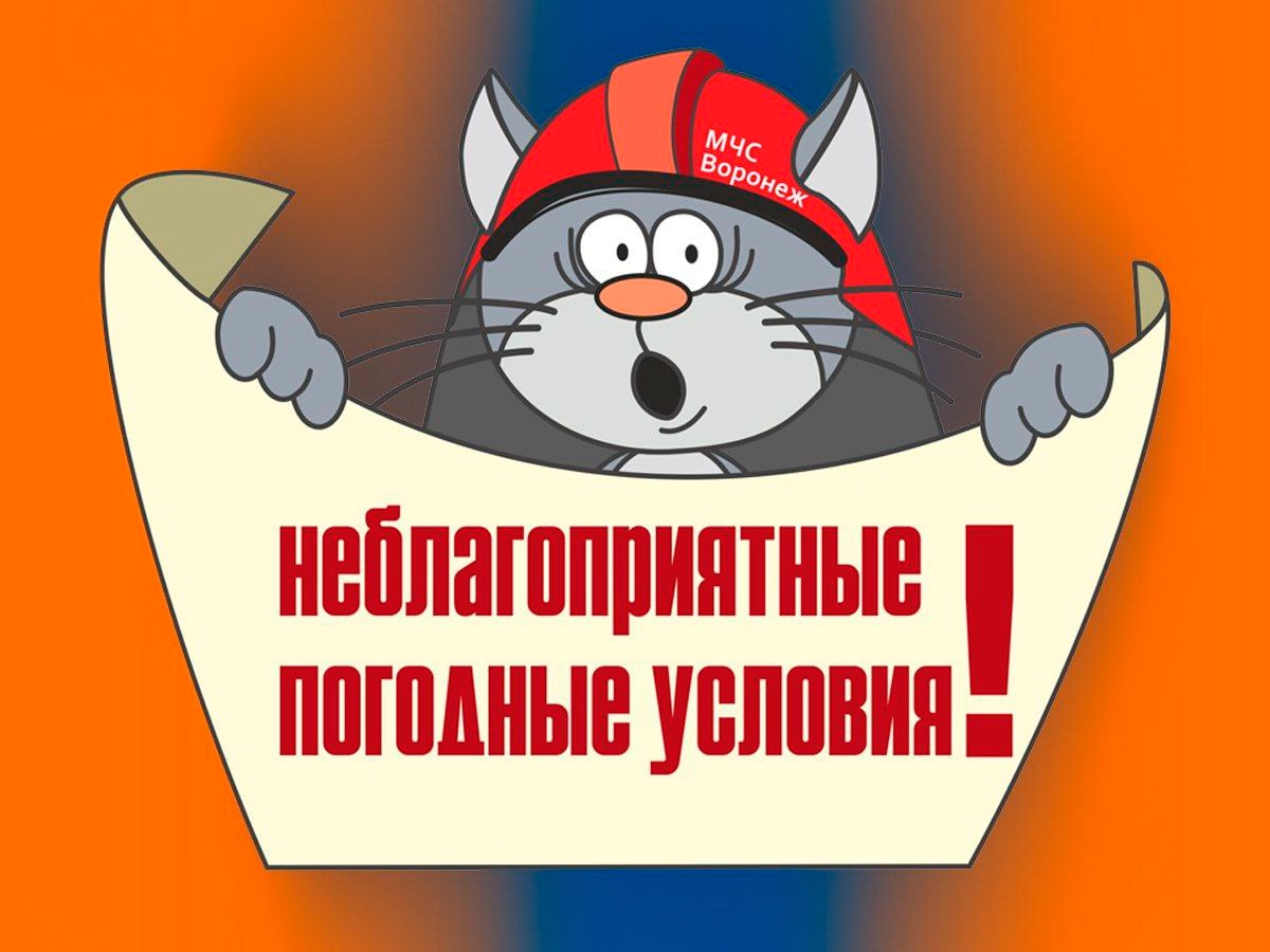 МЧС Воронежской области информирует, что 19 июня местами дожди, грозы, порывы ветра до 18-20 м/с.