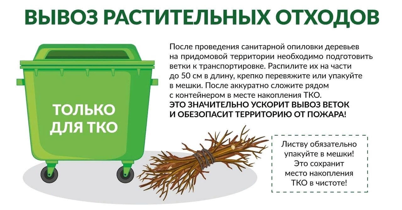 СКЛАДИРОВАНИЕ ВЕТОК и листвы в контейнеры НЕДОПУСТИМО️️️!.