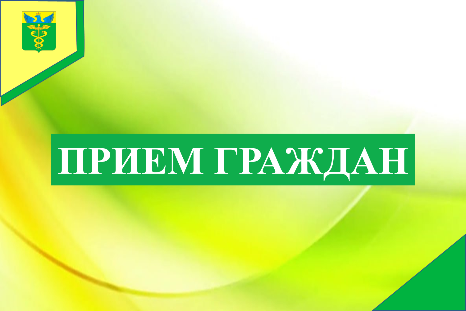 17 декабря личный прием граждан проведет Салогубова Наталья Валерьевна – министр образования Воронежской области.