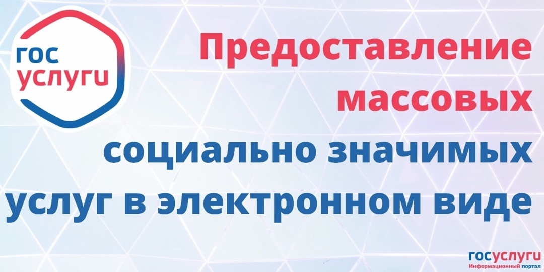 Получение массовых социально значимых услуг в электронном виде.