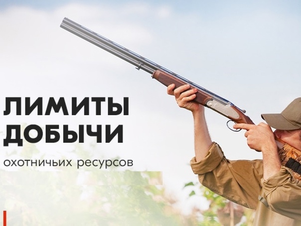 Уведомление о проведении общественных обсуждений в очном формате предварительных Материалов, обосновывающих лимит и квоты добычи охотничьих ресурсов в период с 1 августа 2025 года до 1 августа 2026 года. Уведомление о проведении общественных обсуждений в очном формате предварительных Материалов, обосновывающих лимит и квоты добычи охотничьих ресурсов в период с 1 августа 2025 года до 1 августа 2026 года.